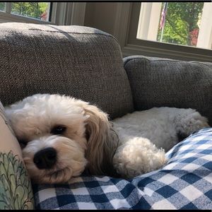 Meet your Posher, Lisa